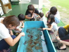 親子でザリガニ釣り